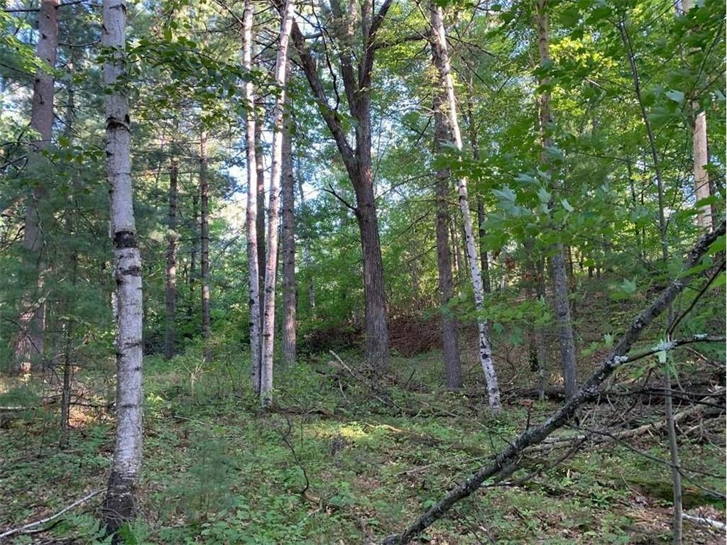 xxx St George Avenue W Grantsburg WI 54840 6336432 image1