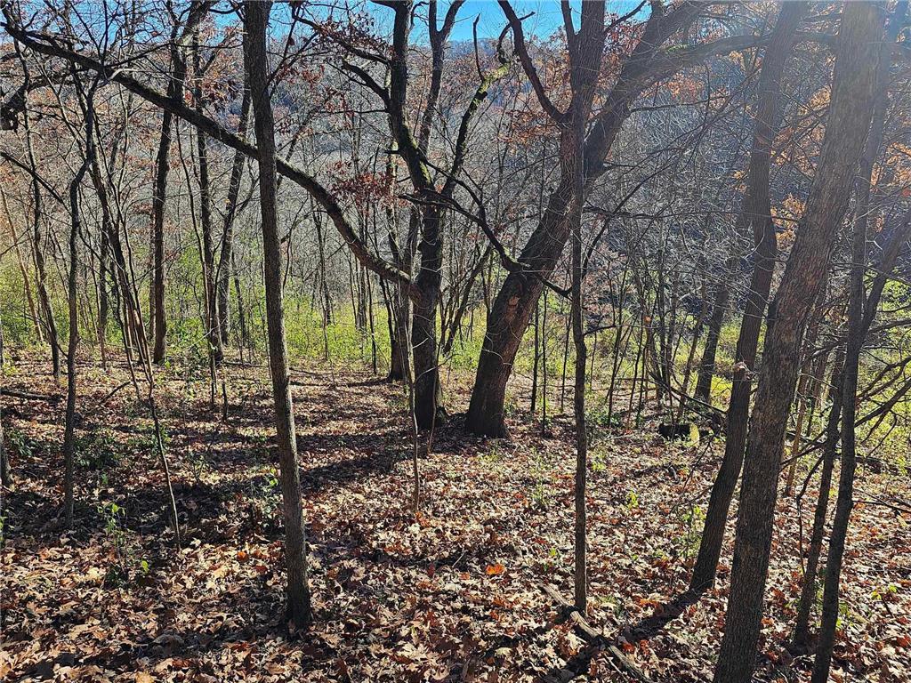 xxx Stone Point Rd Wilson Twp MN 55987 6515393 image1