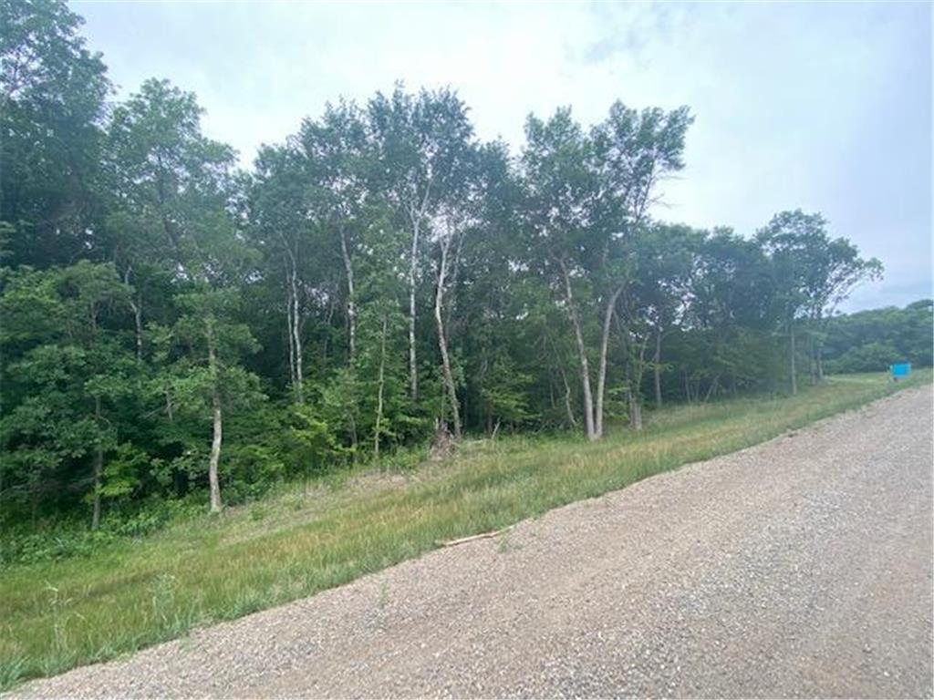 xxx Stony Hills Drive Edna Twp MN 56573 6410890 image1