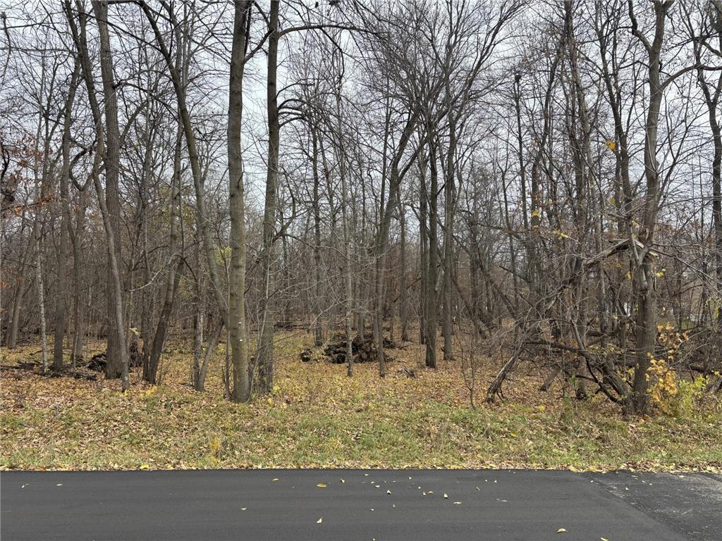 xxx Sugar Maple Dr Otter Tail Twp MN 56571 6812051 image1