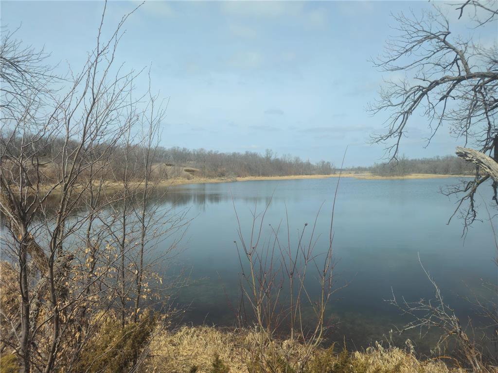 xxx Sybil Lake Road Vergas MN 56587 - Mink 6693978 image1