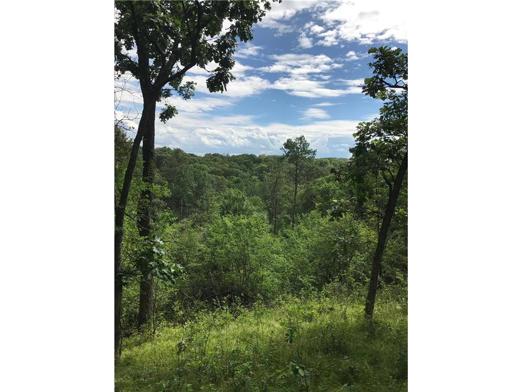 xxx Tanglewood Lane Marine On Saint Croix MN 55047 6512418 image1