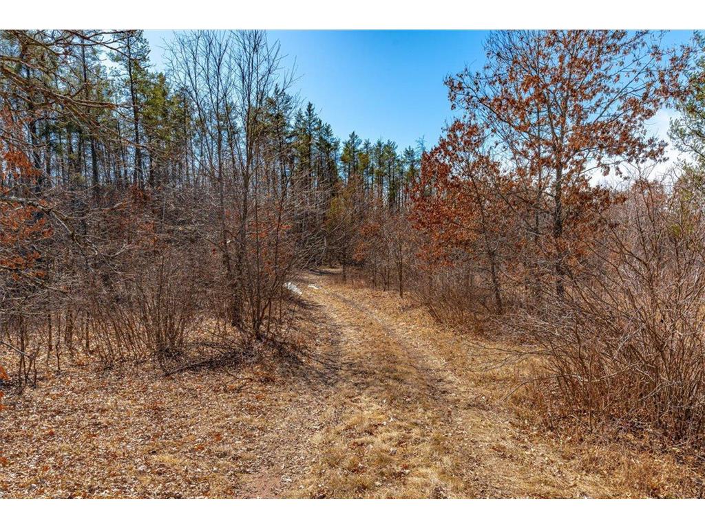 xxx Tranus Lake Rd, Twp, WI, 54875 MLS 6503207 Edina Realty