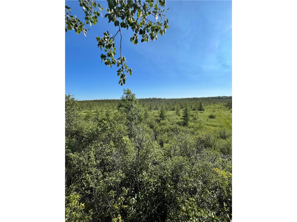 xxx U S Hwy 169 Palisade MN 56469 7048058 image10