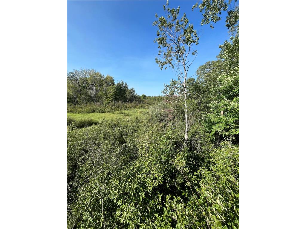 xxx U S Hwy 169 Palisade MN 56469 7048058 image11