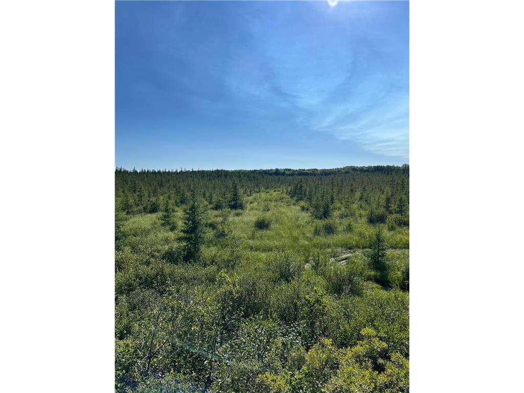 xxx U S Hwy 169 Palisade MN 56469 7048058 image12