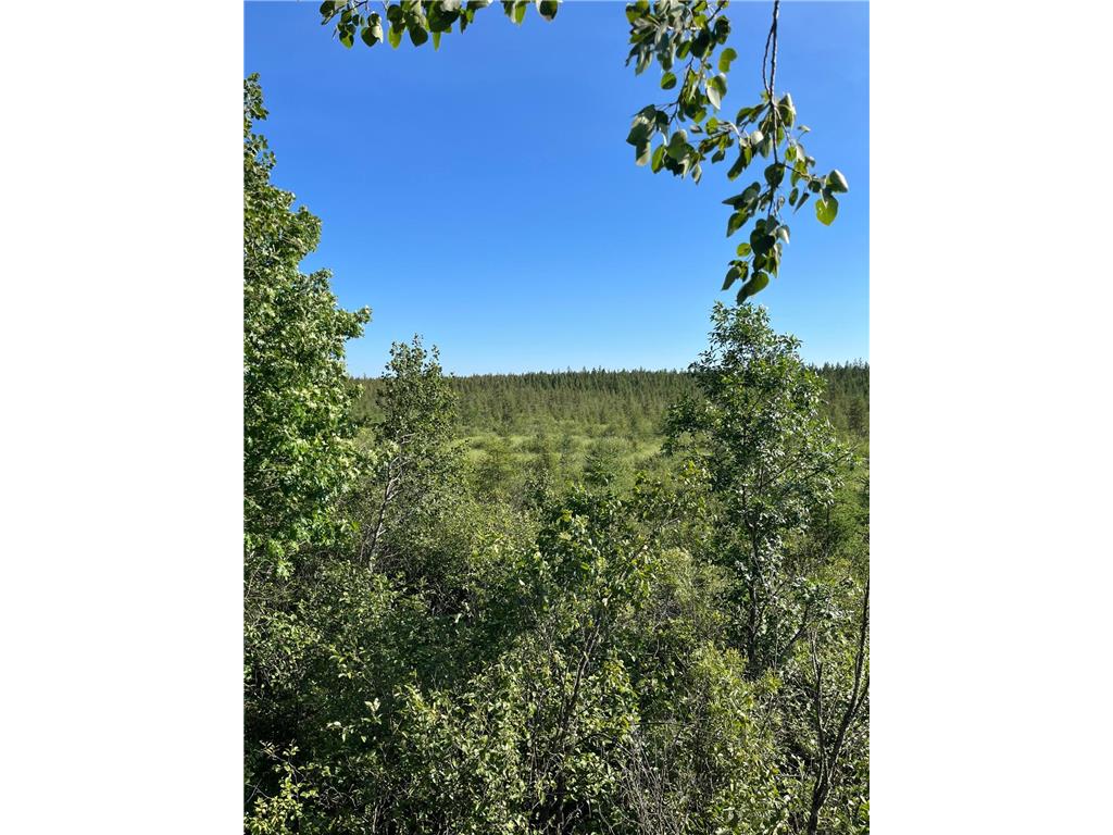 xxx U S Hwy 169 Palisade MN 56469 7048058 image13