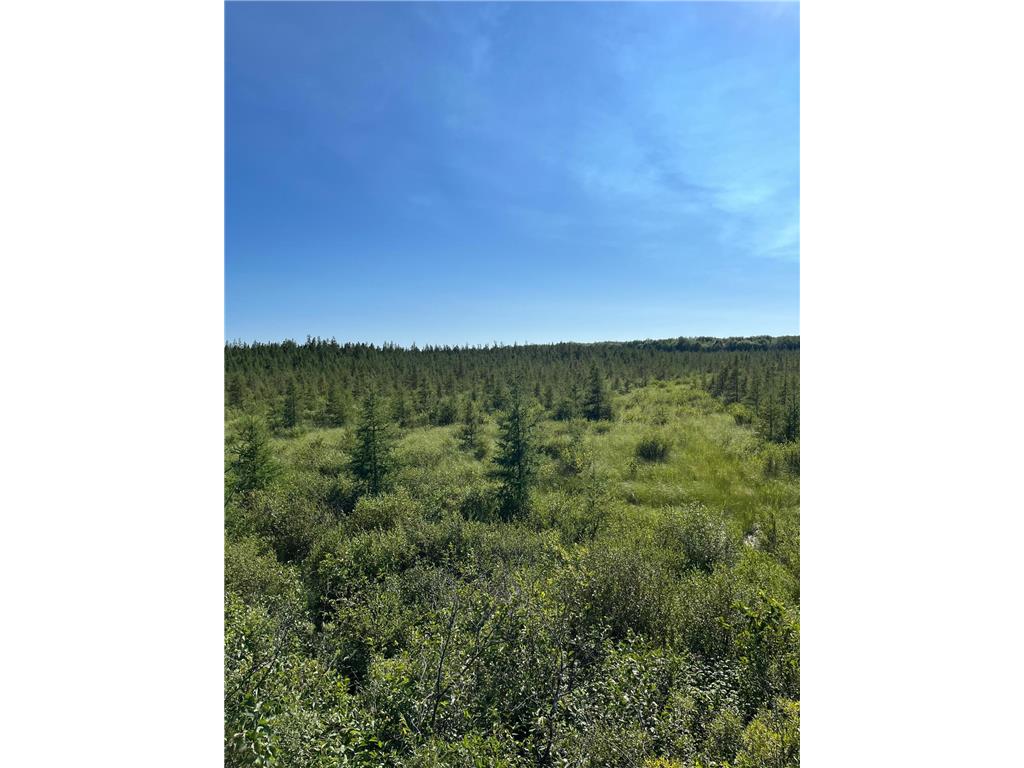 xxx U S Hwy 169 Palisade MN 56469 7048058 image14