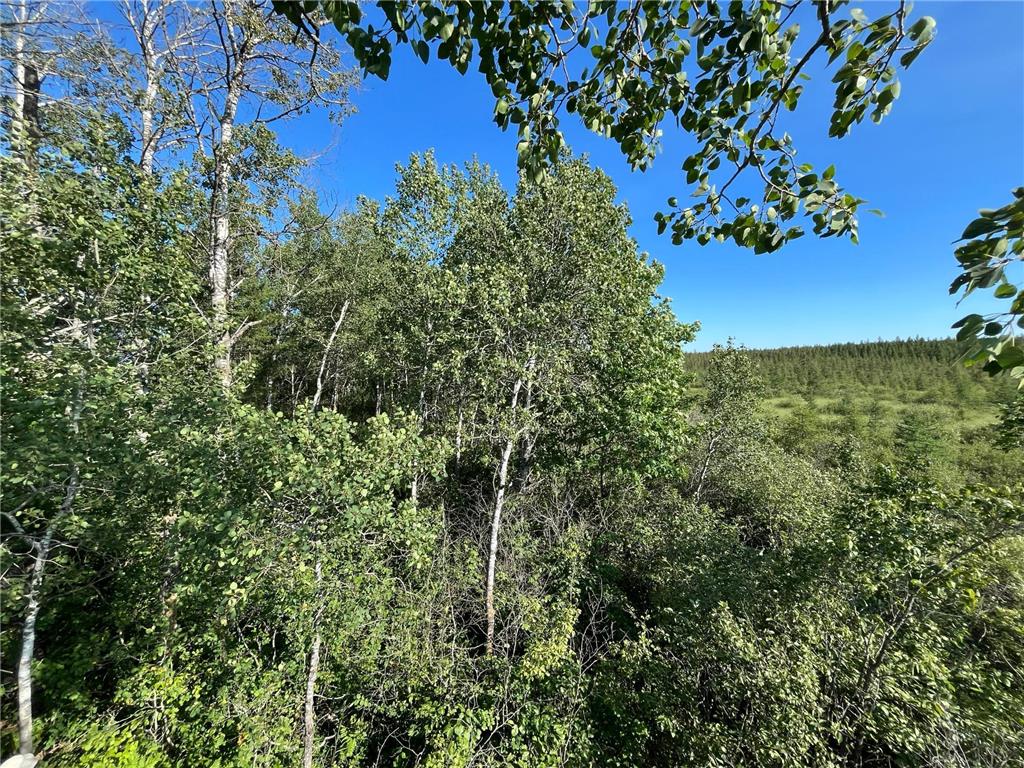 xxx U S Hwy 169 Palisade MN 56469 7048058 image15