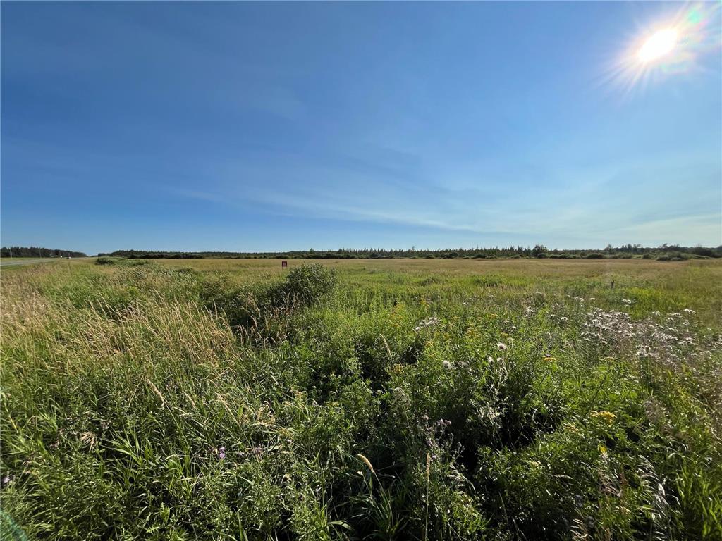 xxx U S Hwy 169 Palisade MN 56469 7048058 image18