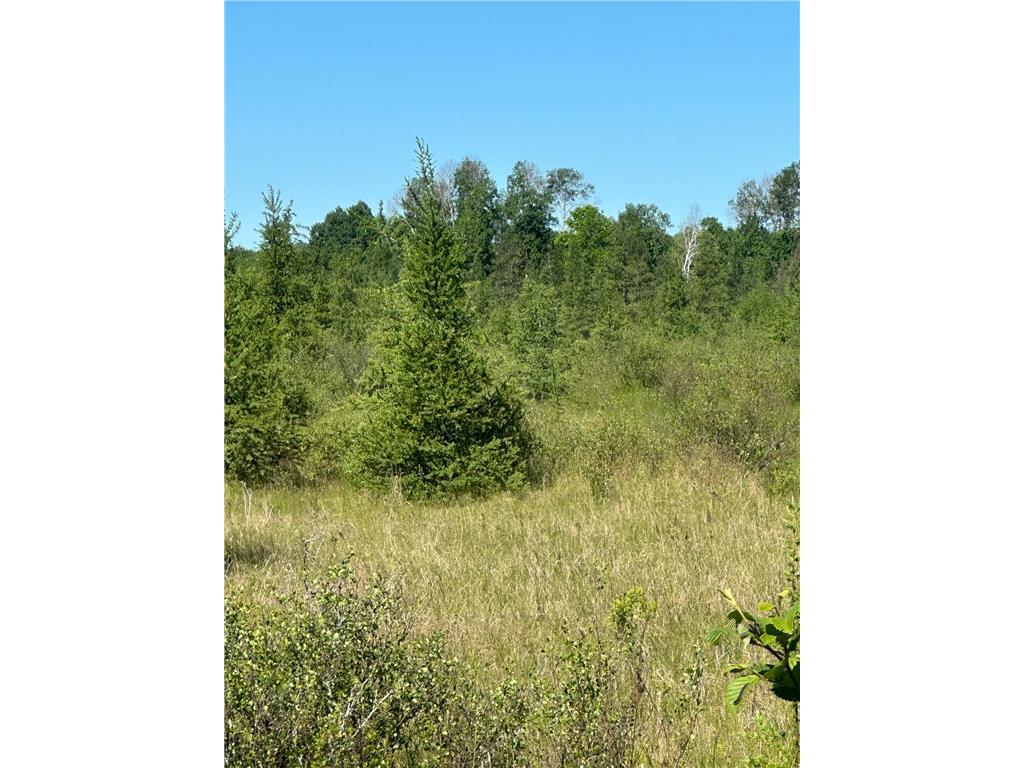 xxx U S Hwy 169 Palisade MN 56469 7048058 image20