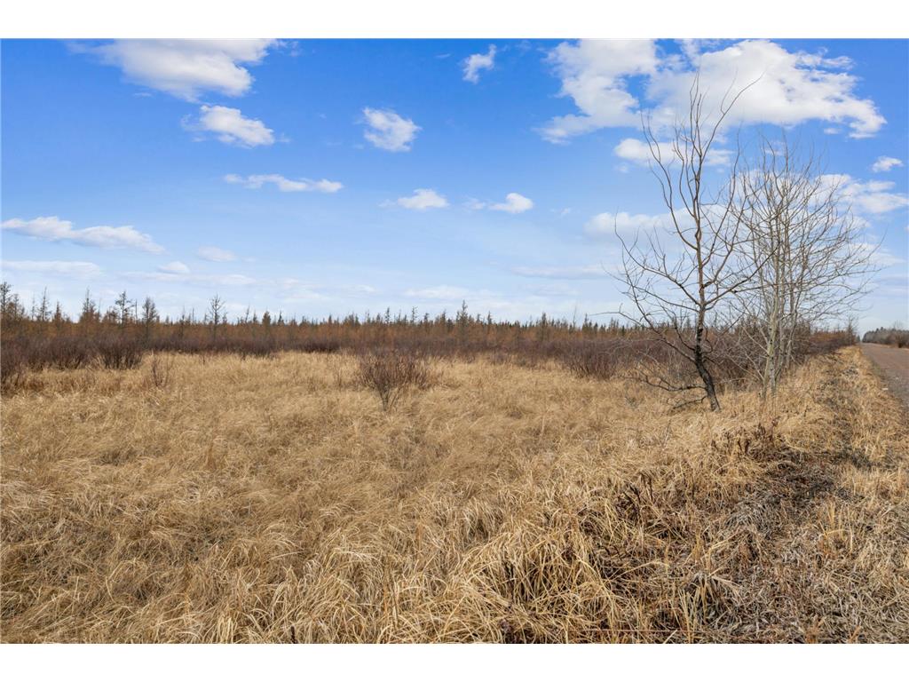 xxx U S Hwy 169 Palisade MN 56469 7048058 image7