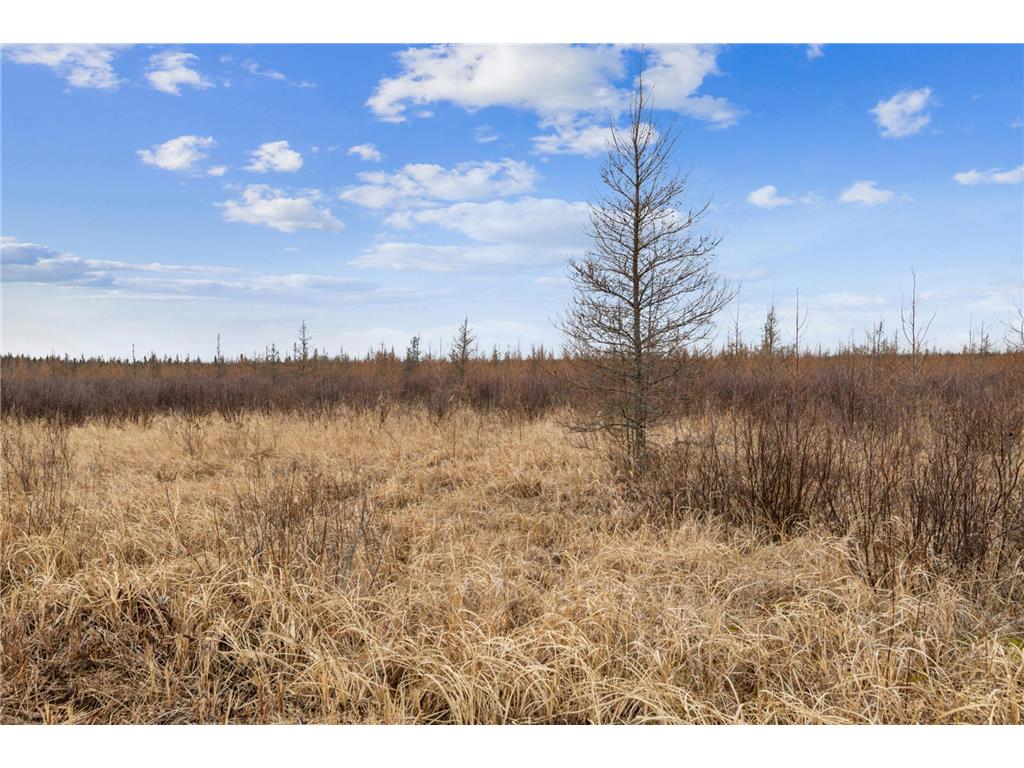 xxx U S Hwy 169 Palisade MN 56469 7048058 image9