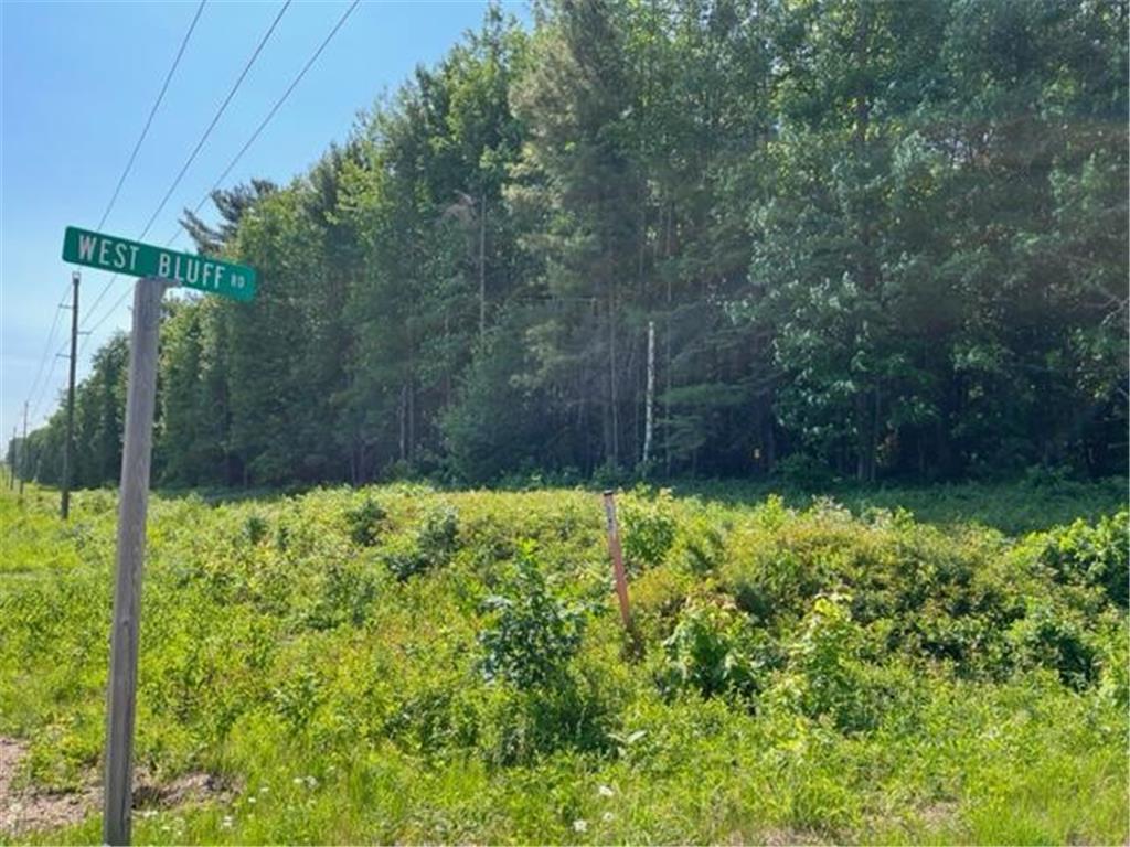 xxx Us Hwy 10/West Bluff Rd Mentor Twp WI 54741 6394241 image1