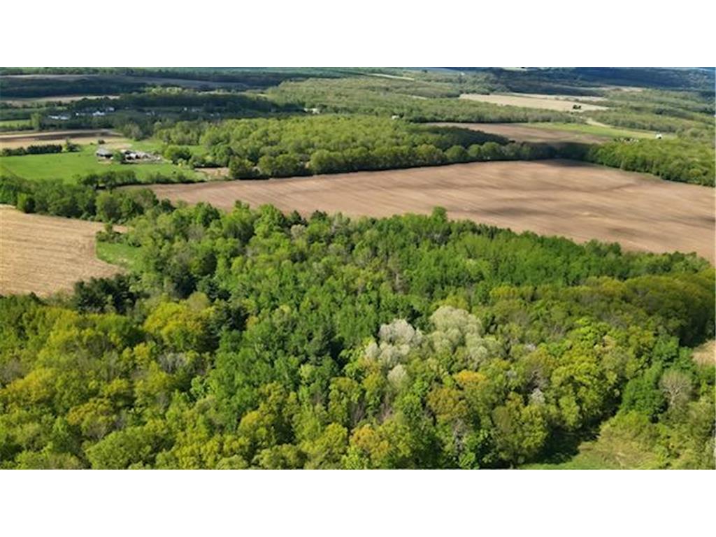 xxx Vista Road Shafer Twp MN 55084 7080097 image1