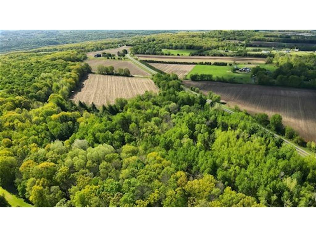 xxx Vista Road Shafer Twp MN 55084 7080097 image4
