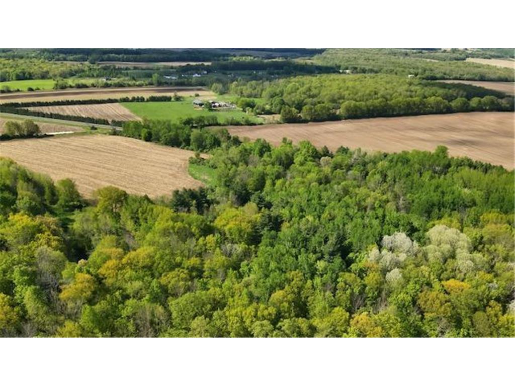 xxx Vista Road Shafer Twp MN 55084 7080097 image8
