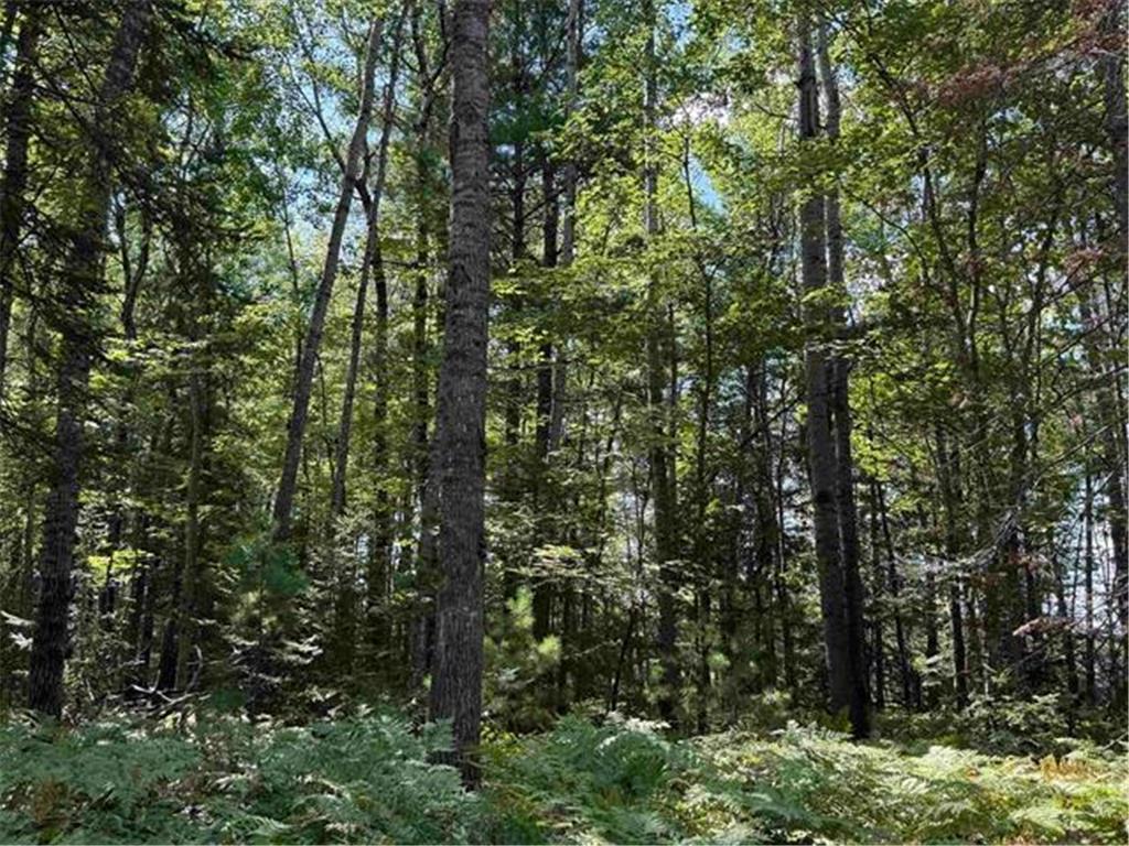 xxx W Gravel Pit Road Iron River WI 54847 6787325 image1