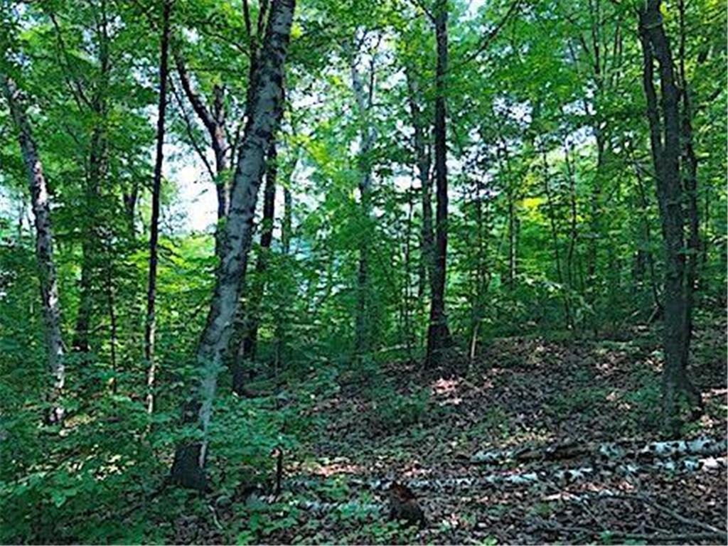 xxx W Olaf RD Norwegian Grove Twp MN 56572 - West Olaf 6511804 image1