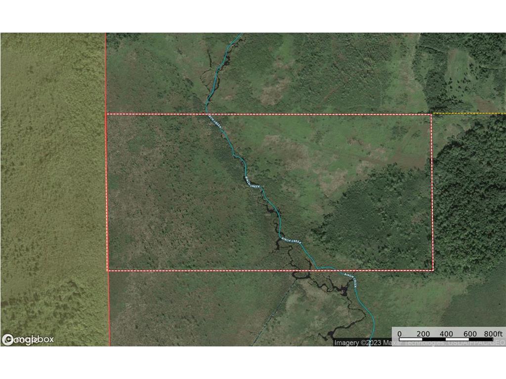 xxx Wagon Wheel Road Sturgeon Lake MN 55783 - Birch Creek 6333209 image1