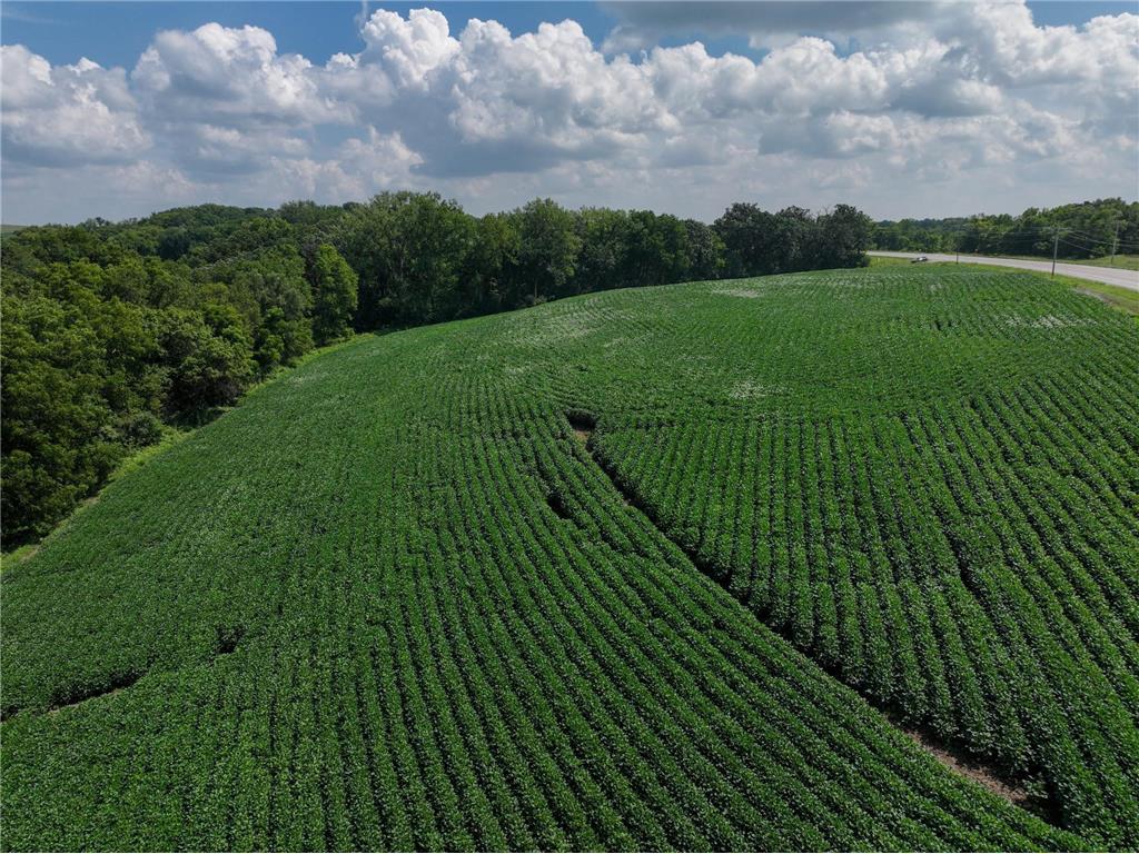 xxx White Bridge Road NE Rochester MN 55906 6703474 image10