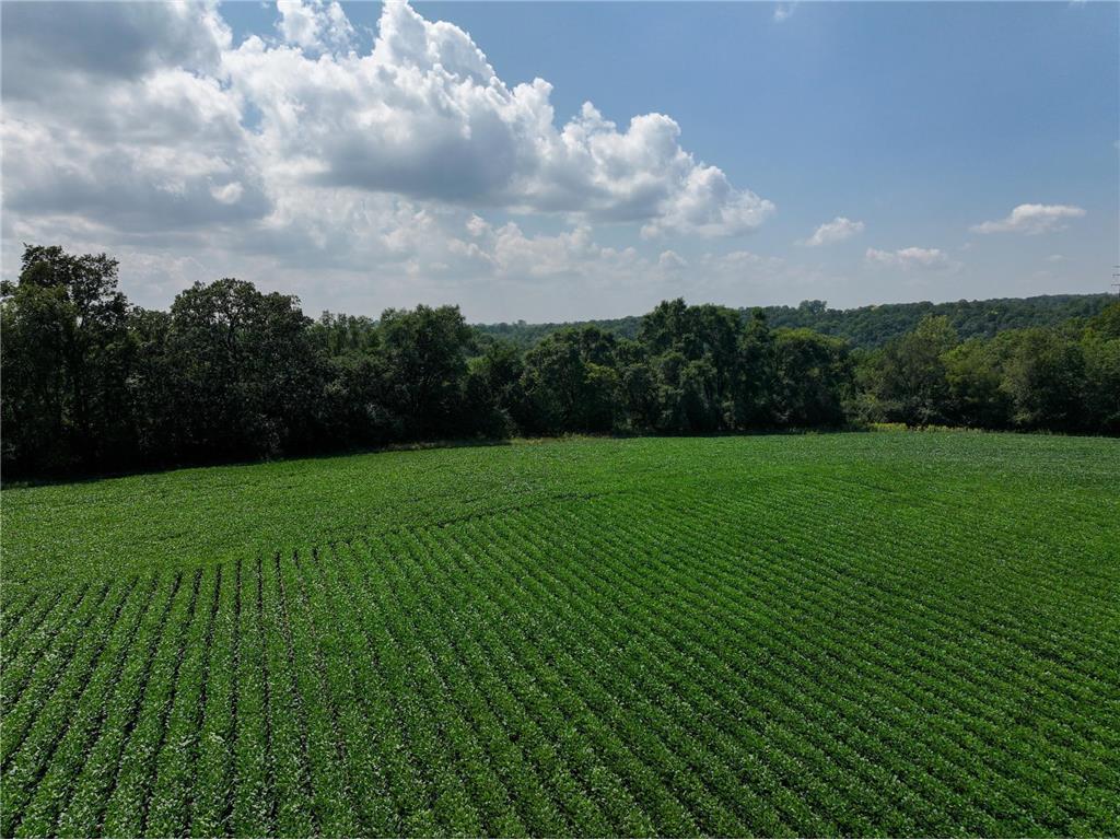 xxx White Bridge Road NE Rochester MN 55906 6703474 image13