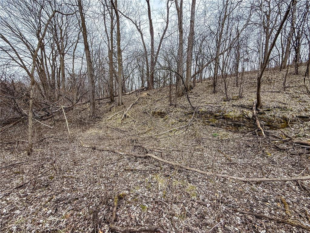 xxx White Bridge Road NE Rochester MN 55906 6703474 image18