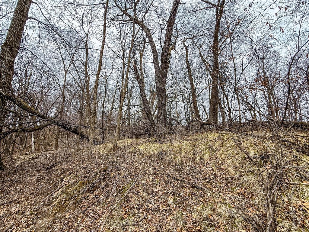 xxx White Bridge Road NE Rochester MN 55906 6703474 image20