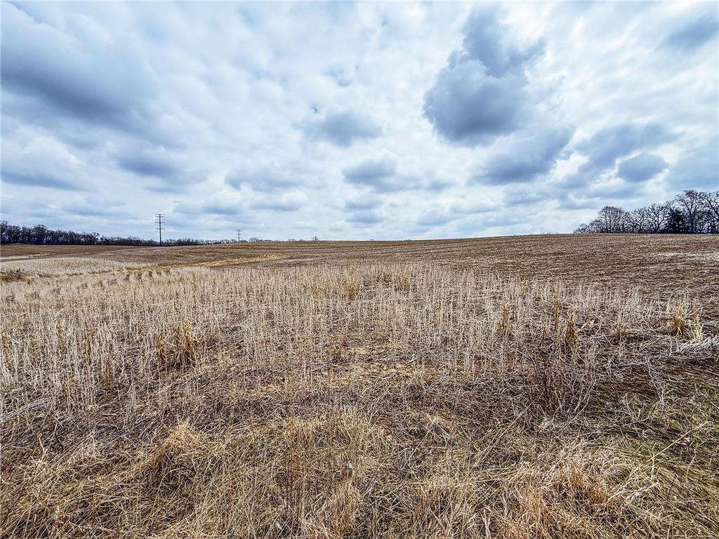 xxx White Bridge Road NE Rochester MN 55906 6703474 image21