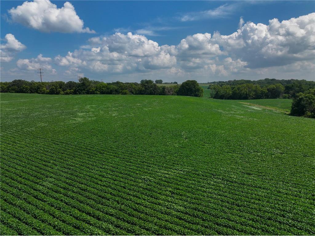 xxx White Bridge Road NE Rochester MN 55906 6703474 image9