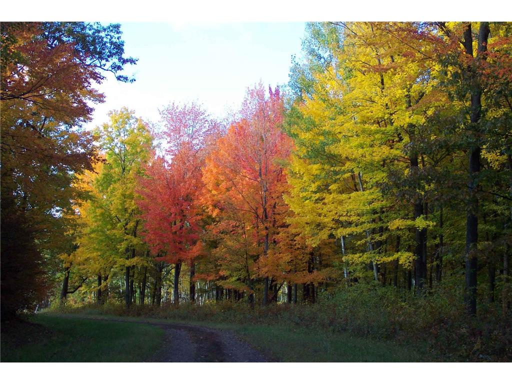 xxx White Oak Dr (Lot 303) Sand Lake Twp WI 54893 - Big Sand Lake 6674050 image15