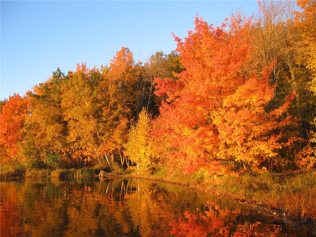 xxx White Oak Dr (Lot 409) Sand Lake Twp WI 54893 - Big Sand Lake 7016853 image14