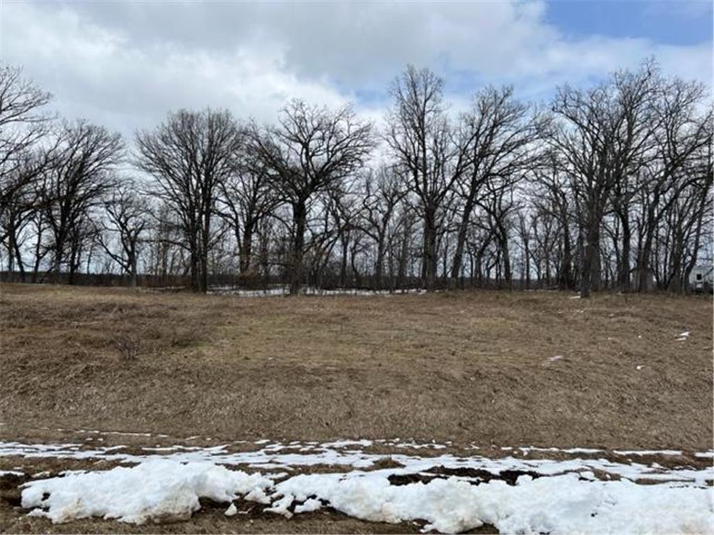 xxx Willow Creek Dr., Leaf Lake Twp, MN, 56551 MLS 6360046 Edina