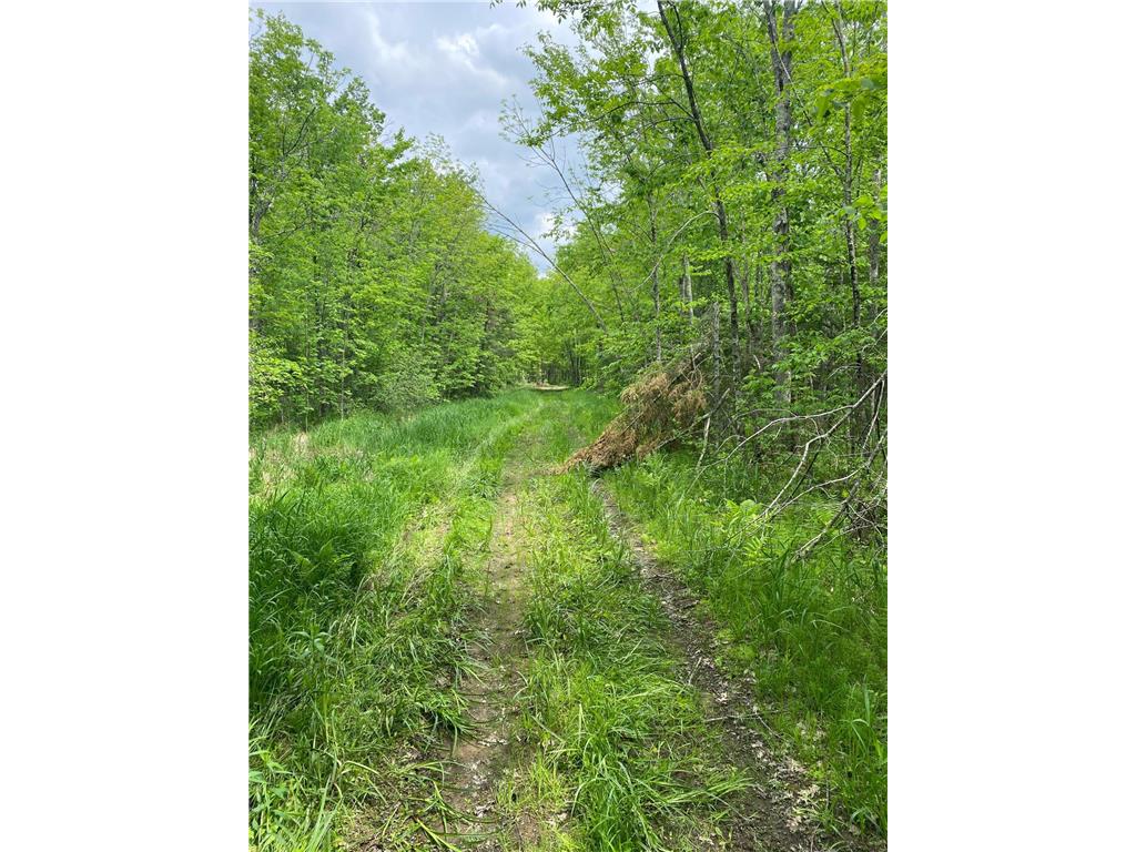 xxx Zimmerman Road Willow River MN 55795 6425033 image1