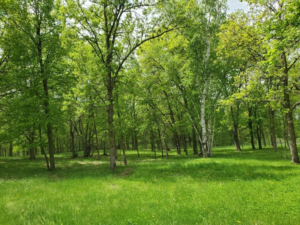 xxx hwy 27, Hillman, MN, 56338 MLS 5499857 Edina Realty