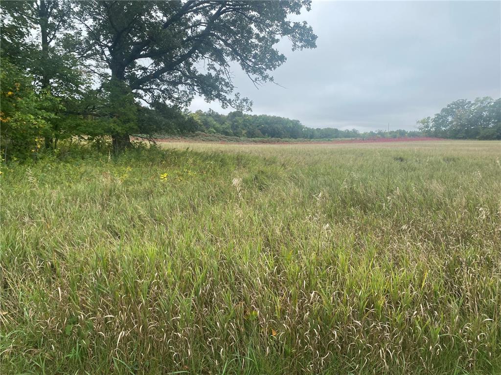 xxx walker lake drive Amor Twp MN 56576 6544888 image1