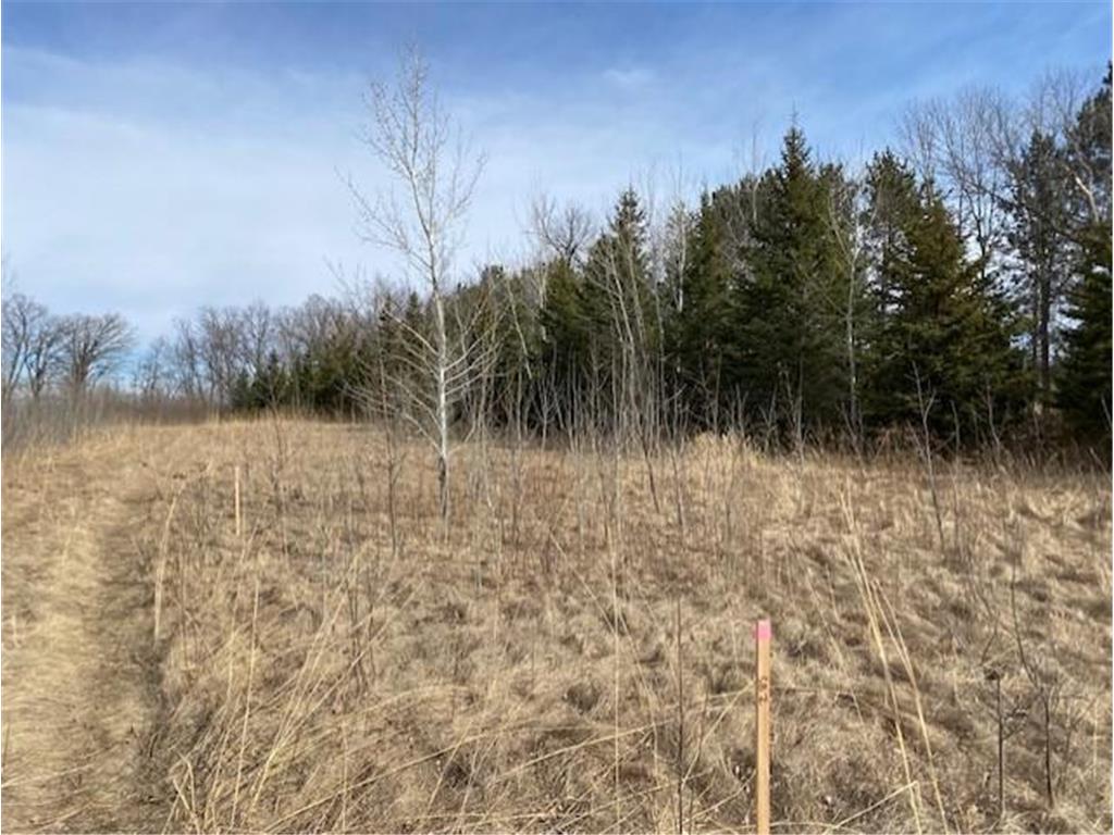 xxx1 CSAH 39 Monticello Twp MN 55362 - Mississippi 6686217 image33