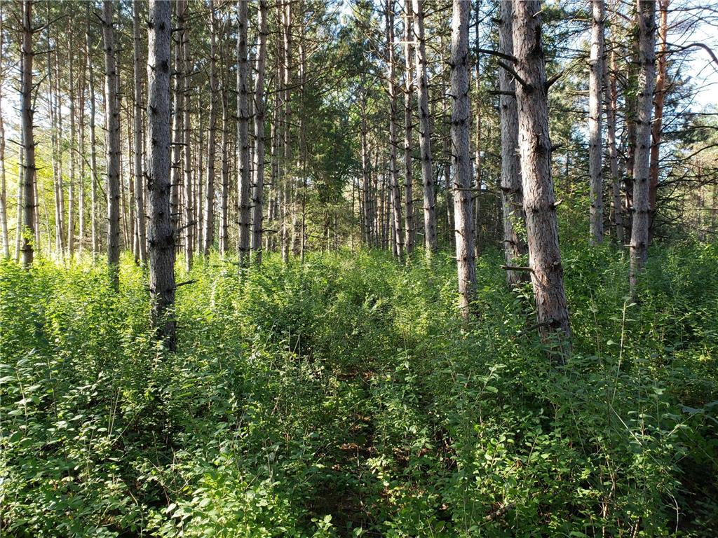 xxx2 5th Street S Lakeland MN 55043 6335288 image1