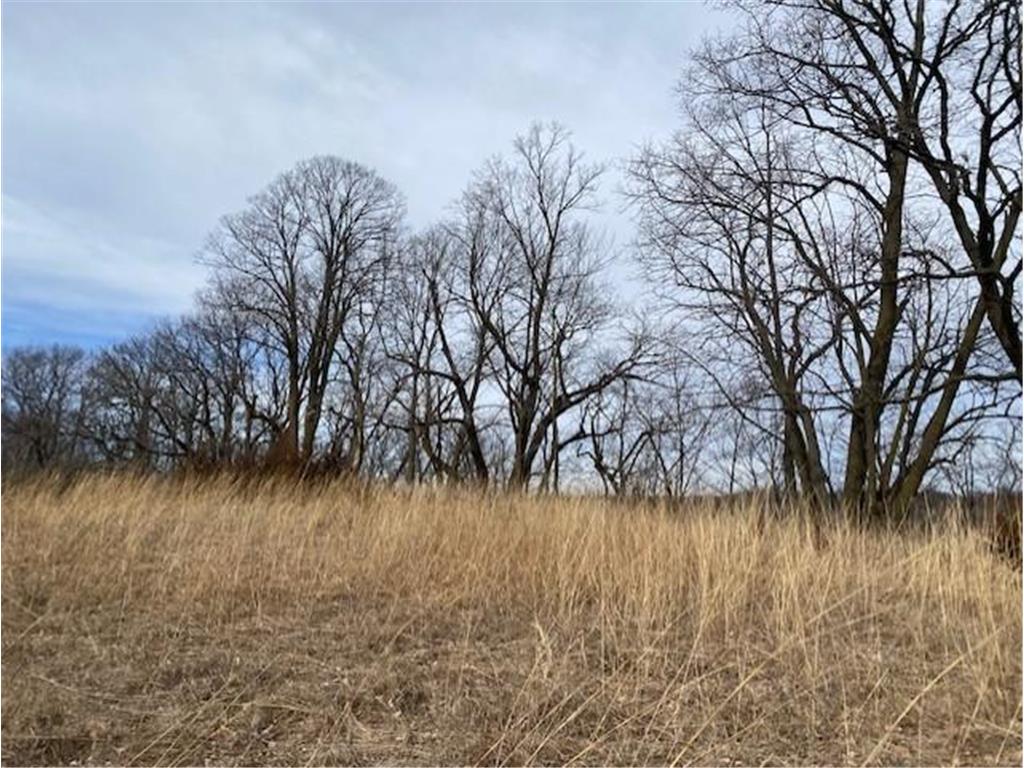 xxx2 CSAH 39 Monticello Twp MN 55362 - Mississippi 6686264 image28