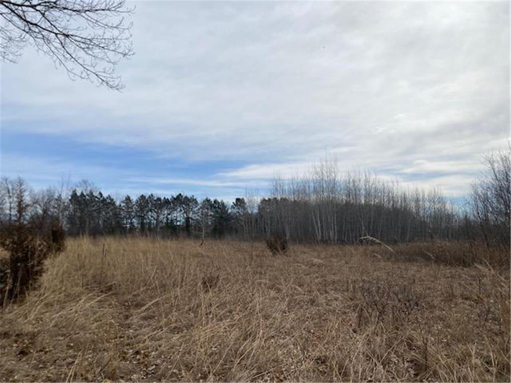 xxx2 CSAH 39 Monticello Twp MN 55362 - Mississippi 6686264 image35