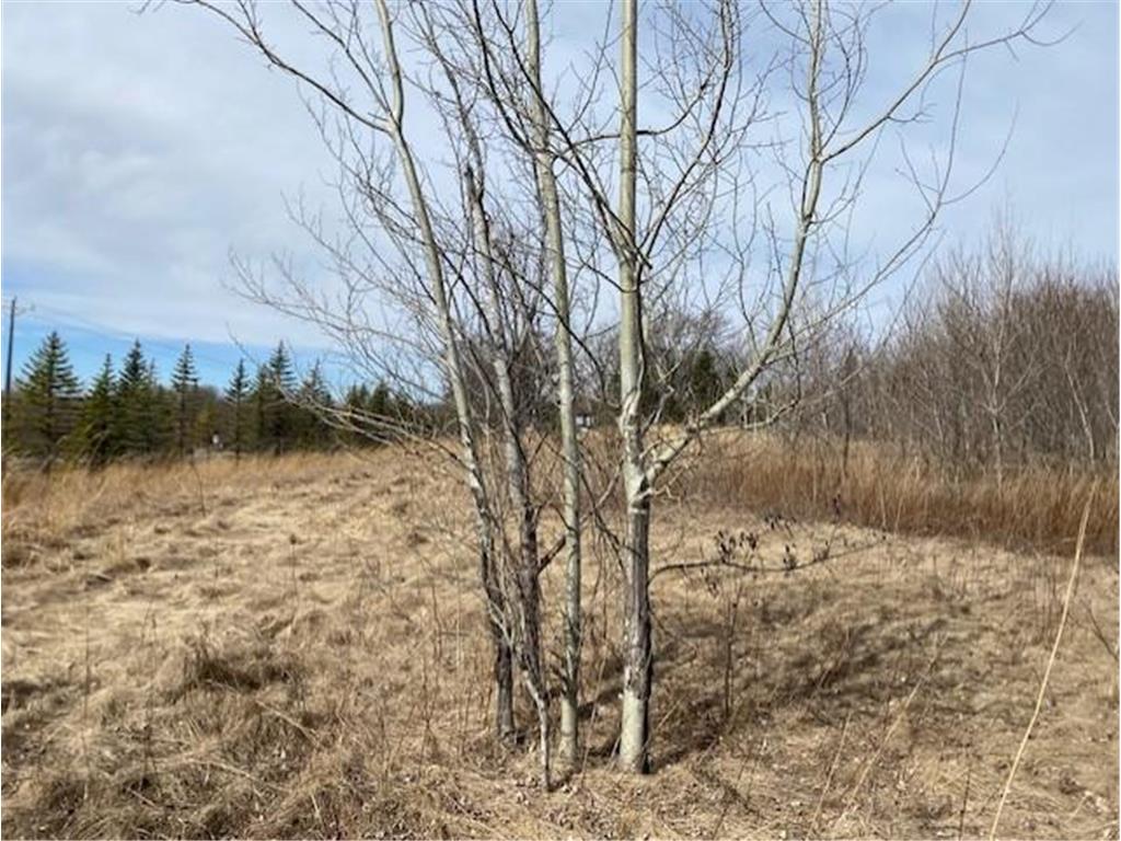 xxx2 CSAH 39 Monticello Twp MN 55362 - Mississippi 6686264 image43