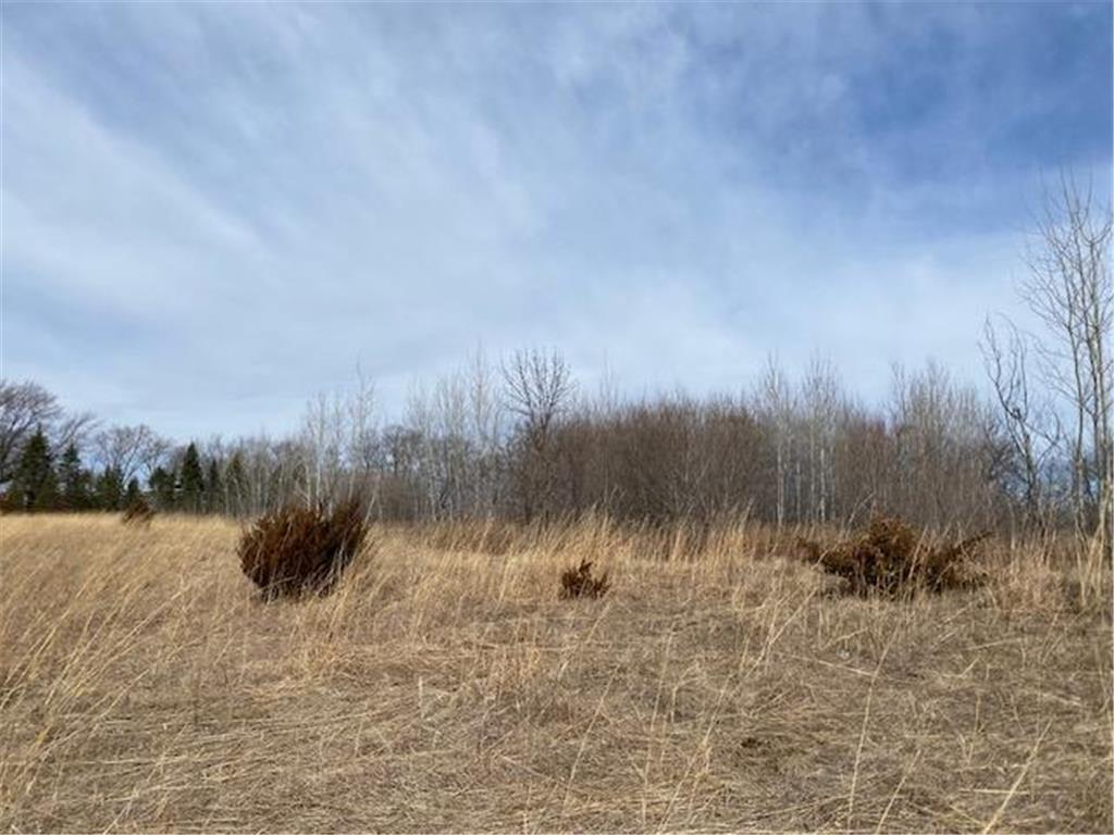 xxx2 CSAH 39 Monticello Twp MN 55362 - Mississippi 6686264 image44