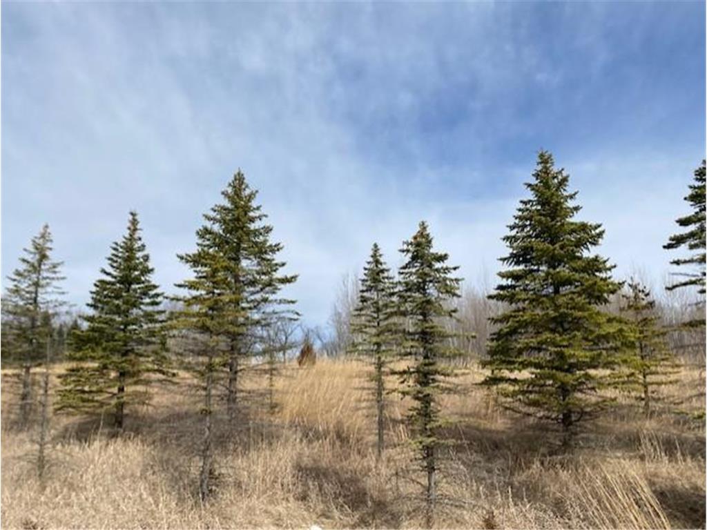 xxx2 CSAH 39 Monticello Twp MN 55362 - Mississippi 6686264 image46