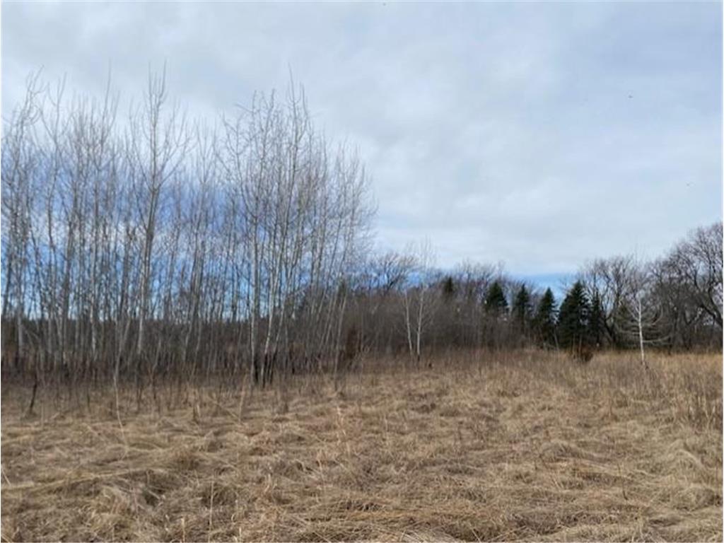 xxx2 CSAH 39 Monticello Twp MN 55362 - Mississippi 6686264 image51