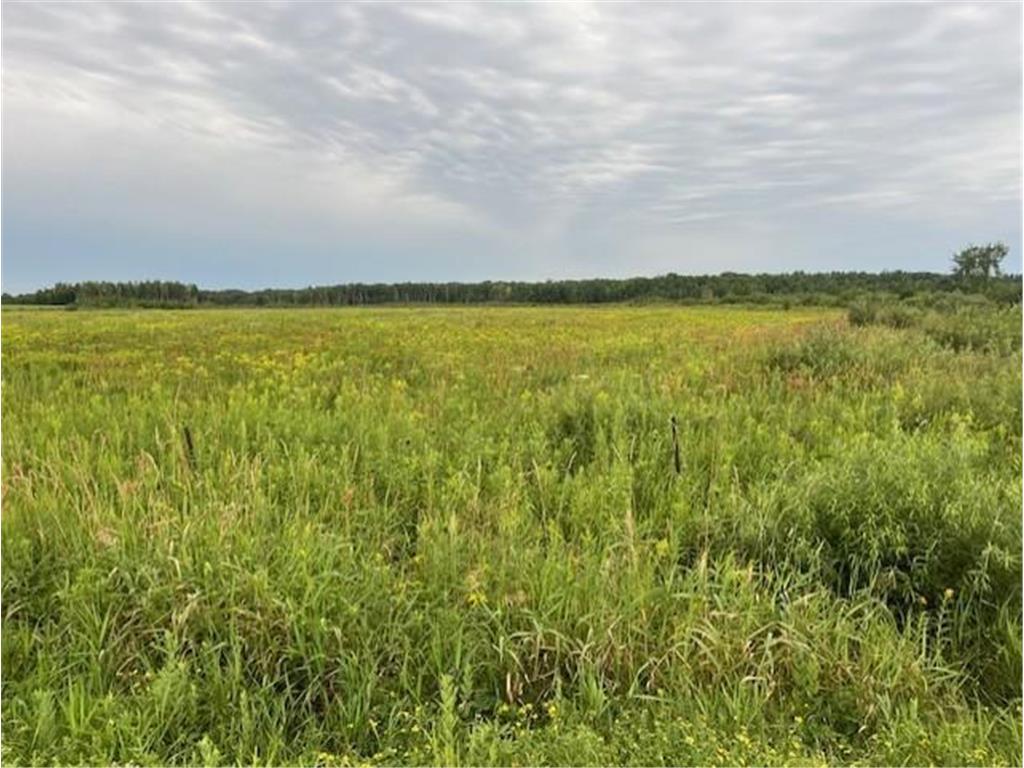 xxx240th a Olympic Street Whited Twp MN 55007 6774416 image4