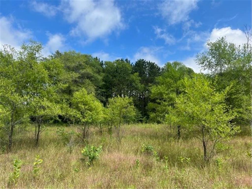 xxx4.8 Camp 3 Road Columbus MN 55025 6329387 image1