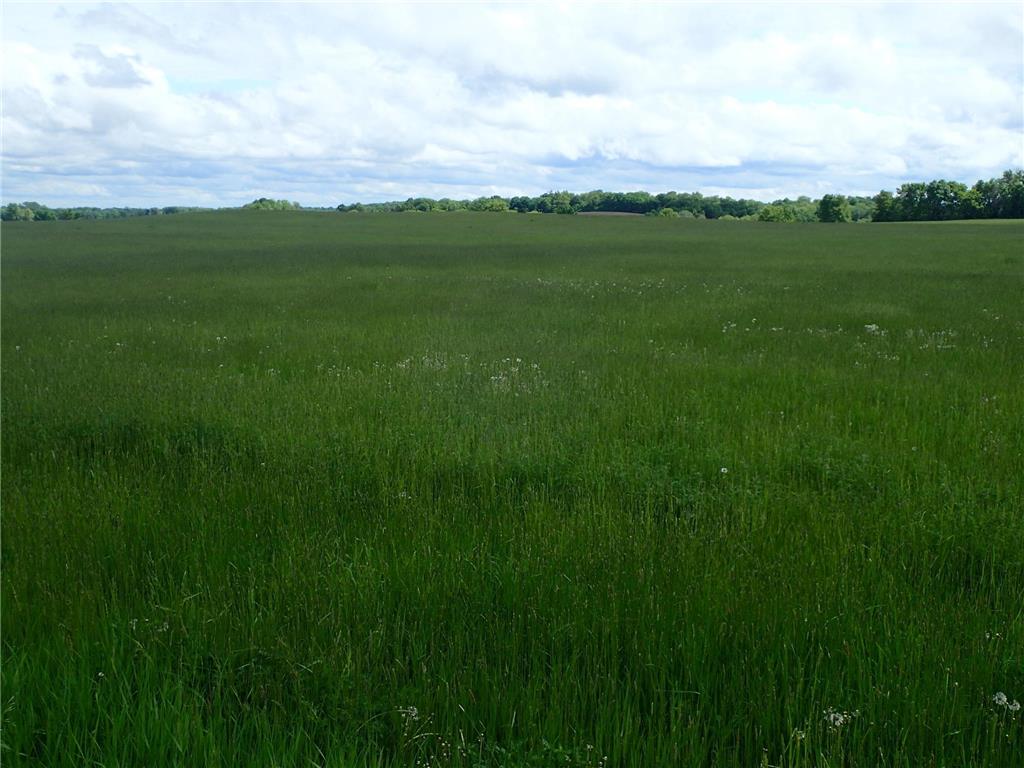 xxx65 30th Street NE Buffalo MN 55313 6537135 image1