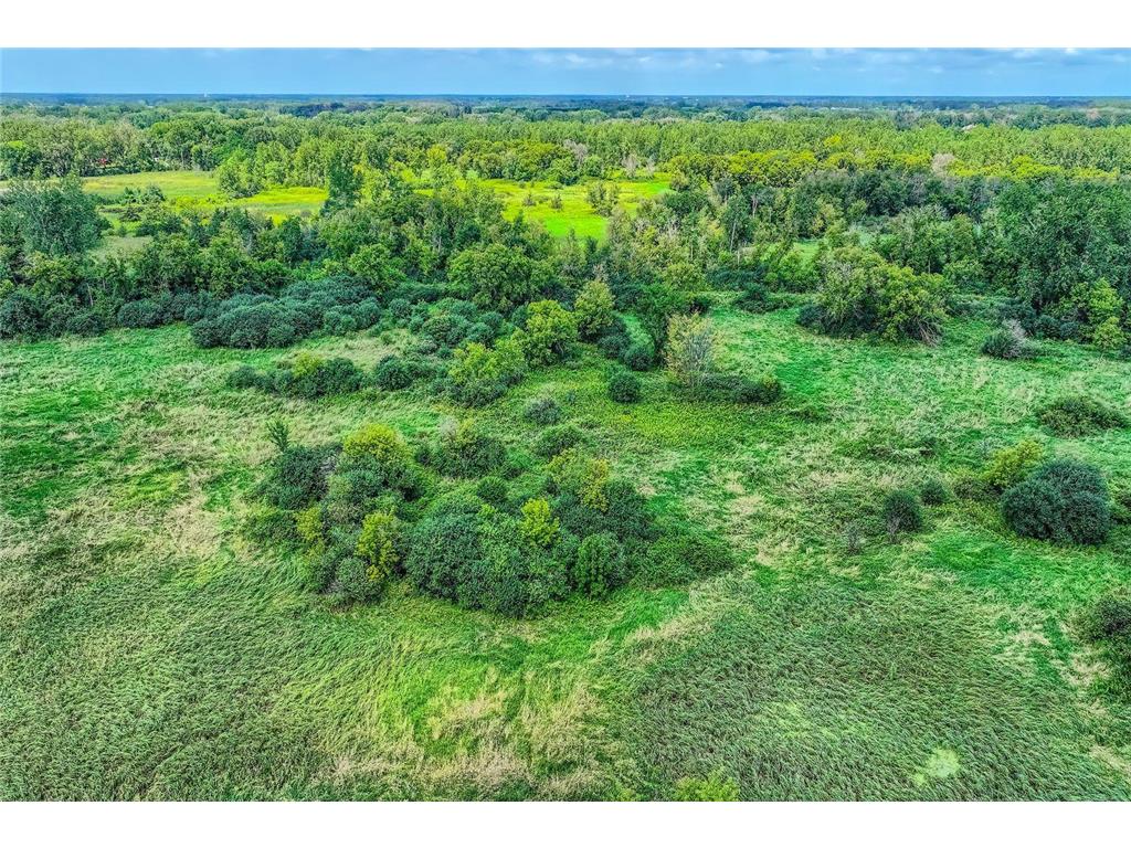 xxxx 165th St N Hugo MN 55038 6776996 image5