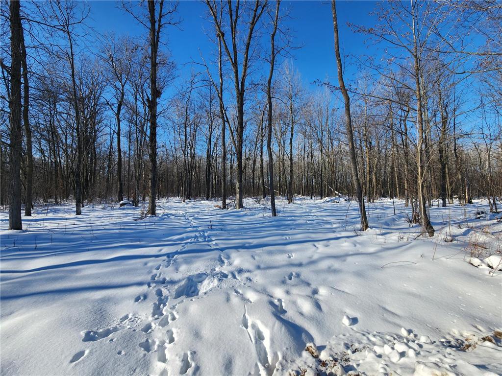 xxxx 175th Borgholm Twp MN 56353 7007393 image1