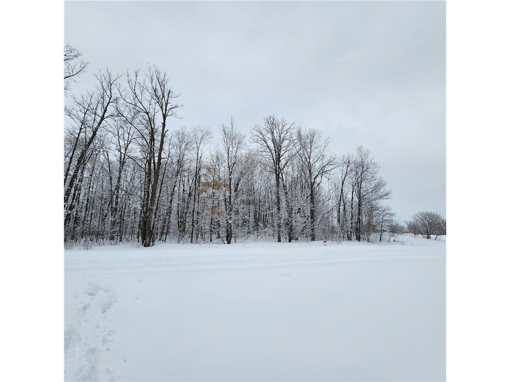 xxxx 175th Street Borgholm Twp MN 56353 6341732 image1